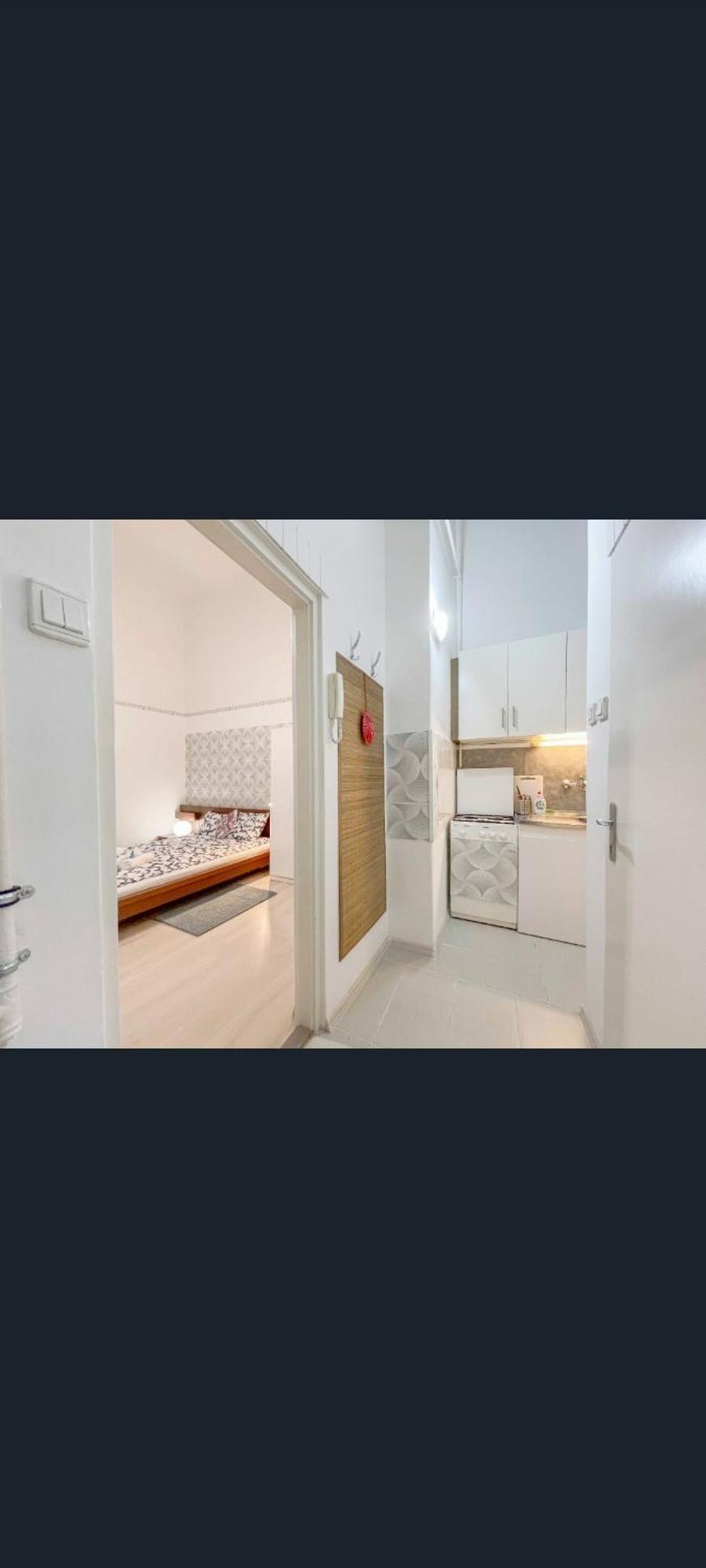 Free Parking Garage! Downtown Apartment Close To New York Cafe بودابست المظهر الخارجي الصورة